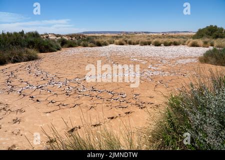 Grandes empreintes de pied d'oiseau dans un lit de lac en argile séchée, une région naturelle semi-désertique ou des badlands, Bardenas Reales, Navarre Espagne Banque D'Images