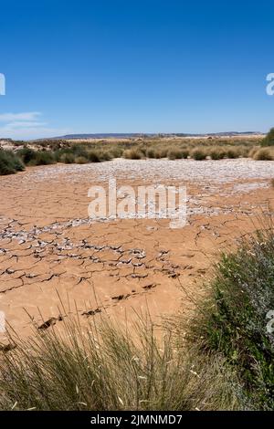 Grandes empreintes de pied d'oiseau dans un lit de lac en argile séchée, une région naturelle semi-désertique ou des badlands, Bardenas Reales, Navarre Espagne Banque D'Images