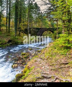 Vieux pont en ruines sur la rivière Banque D'Images