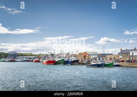 Plusieurs bateaux de pêche colorés amarrés dans le port de Howth, Dublin, Irlande Banque D'Images