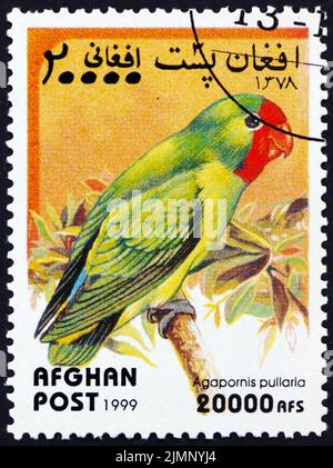 AFGHANISTAN - VERS 1999 : un timbre imprimé en Afghanistan montre un oiseau lovebird à face rouge, agapornis pullarius, est une espèce d'oiseau du genre lovebird in Banque D'Images