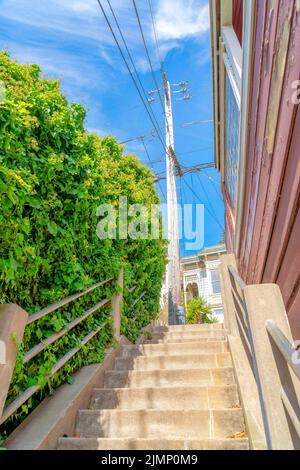 Escaliers extérieurs près des arbustes muraux menant à un poste électrique en béton à San Francisco, CA. Vue à angle bas d'un escalier en béton à côté d'une maison Banque D'Images