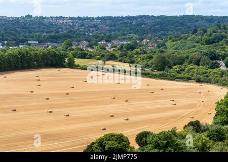 Vue de Winchester avec des balles de champs de maïs et de foin au premier plan en août ou en été prises de Magdaalen Hill, Hampshire, Angleterre, Royaume-Uni Banque D'Images