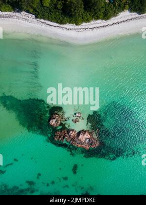 Praslin Seychelles île tropicale avec des plages de sable et des palmiers, plage de l'Anse Volbert Seychelles Banque D'Images