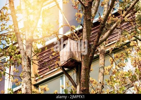Birdhouse est suspendu sur des branches d'arbres à l'extérieur du bâtiment résidentiel Banque D'Images