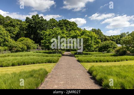 Jardin clos de Scampston Hall, North Yorkshire, en été. Un jardin contemporain de quatre hectares conçu par Piet Oudolf. Banque D'Images