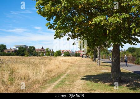 Terrain de loisirs de la seigneurie, Tottenham, dans le nord de Londres, pendant le temps sec en août 2022 Banque D'Images