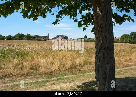 Terrain de loisirs de la seigneurie, Tottenham, dans le nord de Londres, pendant la sécheresse d'août 2022 Banque D'Images