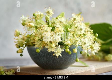 Le tilleul frais ou le Tilia cordata fleurit dans un bol sur une table, en gros plan Banque D'Images