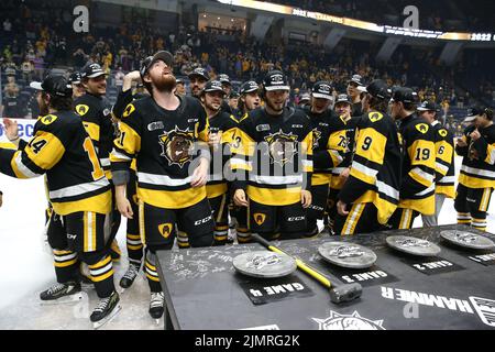 (Éditorial seulement) Hamilton Bulldogs. Luke Durda/Alamy Banque D'Images