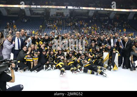 (Éditorial seulement) Hamilton Bulldogs. Luke Durda/Alamy Banque D'Images