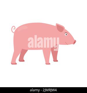 Illustration vectorielle PIG de style plat isolée sur fond blanc. Banque D'Images