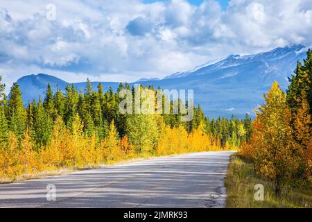 Nuages de cumulus luxuriants Banque D'Images