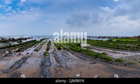 Vue sur les formations rocheuses de Flysch à marée basse sur la plage de Barrika près de Bilbao Banque D'Images