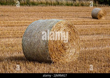Gros plan d'une balle de foin dans les South Downs, avec une faible profondeur de champ Banque D'Images