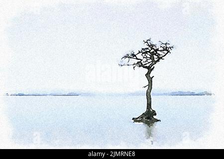 Milarrochy Bay Lone Tree dans le Loch Lomond, Écosse Banque D'Images