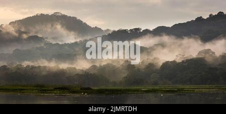 Paysage du Panama avec vue panoramique sur la forêt pluviale humide et brumeuse au lever du soleil dans le parc national de Soberania, République de Panama, Amérique centrale. Banque D'Images