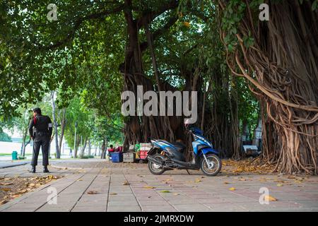 BANGKOK - THAÏLANDE, 20 mars 2016 : rues de Bangkok. Garde de sécurité sous un grand arbre tropical. Rues thaïlandaises colorées Banque D'Images