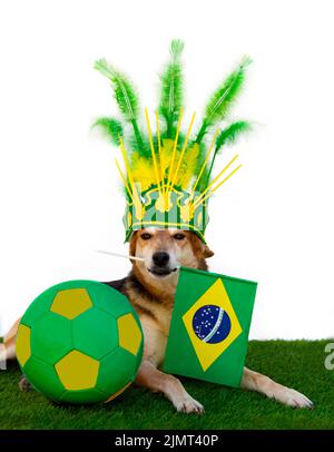 Chien avec casque de plumes vert et jaune, drapeau brésilien et ballon de football Banque D'Images