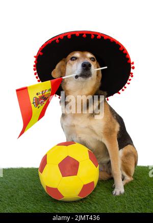 Chien avec chapeau de flamenco, drapeau espagnol et ballon de football Banque D'Images