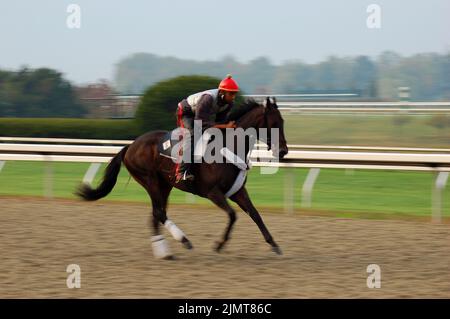 Un jockey prend un cheval de course pur-sang sur la piste de Lexington, Kentucky pour l'entraînement tôt le matin et les exercices avant la course Banque D'Images