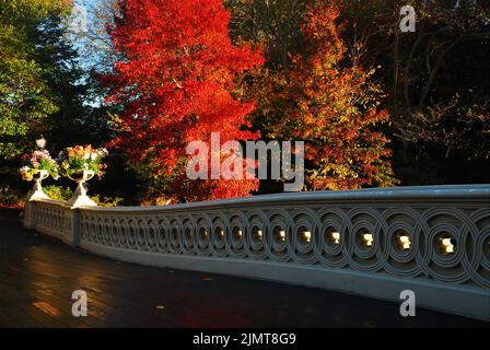 Des couleurs de feuillage d'automne magnifiques et vibrantes entourent le pont Bow à Central Park, New York, lors d'une journée d'automne ensoleillée Banque D'Images
