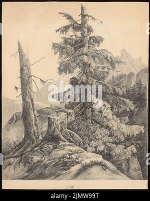 Gustav ail (1833-1916), arbre dans un paysage (1849) : vue en perspective. Crayon sur papier, 47,2 x 37,2 cm (y compris les bords de numérisation) Knoblauch Gustav (1833-1916): Baum in einer Landschaft Banque D'Images