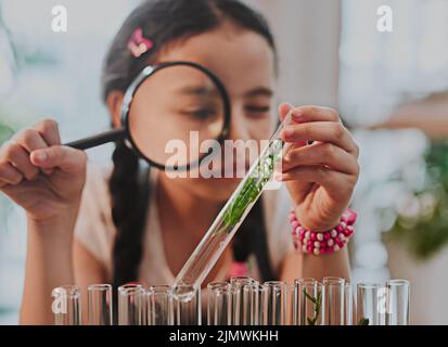 Shes apprendre quelque chose de nouveau sur les plantes aujourd'hui. Une adorable petite fille regardant à travers une loupe tout en analysant les plantes d'un tube à essai à Banque D'Images