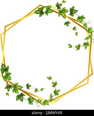 Colonne décorative pour le jardin ou la maison.vigne verte, super-réducteur ou lierre suspendue par le dessus ou montant le mur.modèle sur fond blanc Illustration de Vecteur