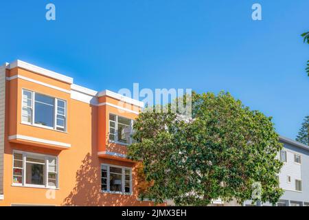 Arbre à l'avant de deux bâtiments résidentiels avec mur extérieur peint à San Francisco, CA. Il y a une vue sur une maison sur la gauche avec un mur orange Banque D'Images