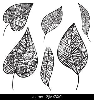 Ensemble de feuilles Vector zen Tangle et Doodle. Livre de coloriage automne nature anti-stress. Feuilles de zentangle noir et blanc. Illustration Doodle dessinée à la main Illustration de Vecteur