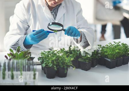 Voyons une vue d'ensemble... une scientifique féminine méconnaissable qui analyse un échantillon de plante à l'aide d'une loupe tout en travaillant dans un laboratoire. Banque D'Images