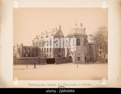 Diestel Georg (1854-1926), Université de Wroclaw. Instituts médicaux sur Maxstrasse. institut pathologique (1890-1892) : vue du bâtiment. Photo sur carton, 42,5 x 58,2 cm (y compris les bords de balayage) Diestel Georg (1854-1926): Universität Breslau. Institut Medizinische an der Maxstraße. Pathologisches Institut Banque D'Images