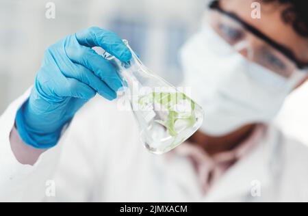 Je vois certainement un changement ici. Une scientifique féminine méconnaissable inspectant un bécher contenant une plante et un liquide tout en travaillant dans un laboratoire. Banque D'Images
