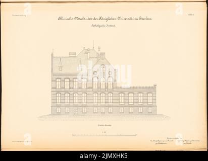 Diestel Georg (1854-1926), Université de Wroclaw. Instituts médicaux sur Maxstrasse. institut pathologique (1890-1892): Vue de l'est 1: 100. Lithographie sur papier, 50,1 x 68,7 cm (y compris les bords de numérisation) Banque D'Images