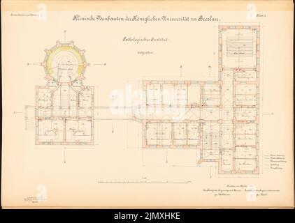 Diestel Georg (1854-1926), Université de Wroclaw. Instituts médicaux sur Maxstrasse. institut pathologique (1890-1892): Grundriss EG 1: 100. Lithographie colorée sur papier, 48,8 x 68,7 cm (y compris les bords de numérisation) Banque D'Images