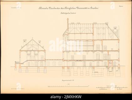 Diestel Georg (1854-1926), Université de Wroclaw. Instituts médicaux sur Maxstrasse. institut pathologique (1890-1892) : section longitudinale 1 : 100. Lithographie colorée sur papier, 48,7 x 68,6 cm (y compris les bords de numérisation) Banque D'Images
