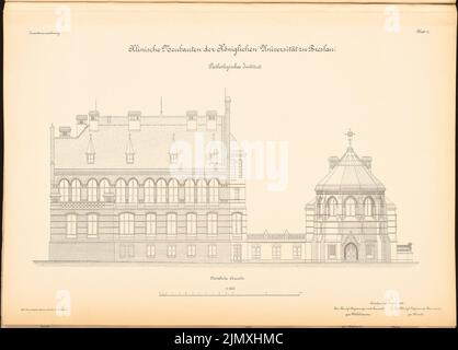 Diestel Georg (1854-1926), Université de Wroclaw. Instituts médicaux sur Maxstrasse. institut pathologique (1890-1892): Vue du Nord 1: 100. Lithographie sur papier, 49,6 x 69,1 cm (y compris les bords de numérisation) Banque D'Images