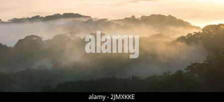 Paysage du Panama avec vue panoramique sur la forêt pluviale humide et brumeuse au lever du soleil dans le parc national de Soberania, République de Panama, Amérique centrale. Banque D'Images