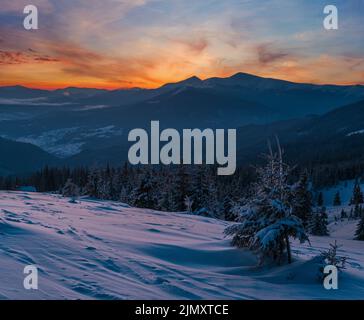 Pittoresque lever de soleil sur les alpes d'hiver. La plus haute crête des Carpates ukrainiens est Chornohora avec des sommets de Hoverla et Petros Mount Banque D'Images