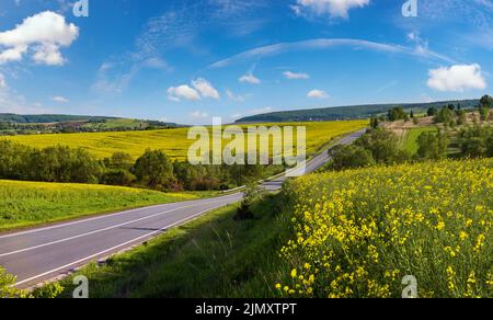 Route à travers le printemps champs de fleurs jaune de colza vue panoramique, ciel bleu avec des nuages dans la lumière du soleil. Saison naturelle, bonne wea Banque D'Images