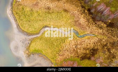 Vue aérienne de la belle courbure de la rive de la rivière et le ruisseau qui s'y écoule. Vue aérienne. Tours de rivière, prairies, herbe d'orange, arbres à l'aube. C Banque D'Images