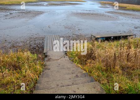 Plage de sable sur une petite rivière de forêt parachée dans une soirée d'automne Banque D'Images