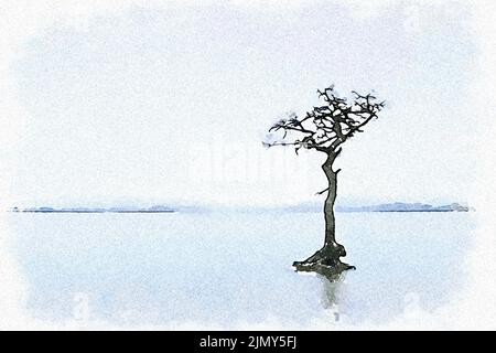 Milarrochy Bay Lone Tree dans le Loch Lomond, Écosse Banque D'Images