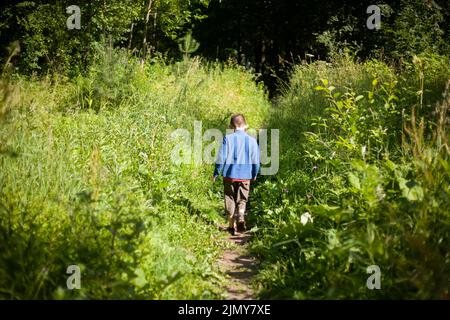 L'enfant entre dans la forêt. Un garçon marche le long du chemin. L'enfant perdu est à la recherche de la voie dans les épaississants. Petit garçon seul. Banque D'Images