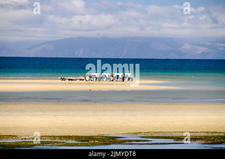 Une flotte de tracteurs sur la plage de Marahau, plage, attendant de remorquer des bateaux-taxis touristiques dans la mer de Tasman sur l'île du Sud de la Nouvelle-Zélande Banque D'Images