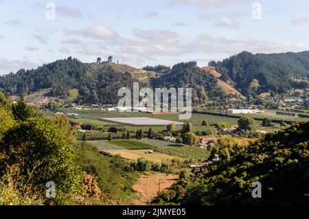 Les fermes fruitières de la vallée de Motueka, en bordure du parc national d'Abel Tasman, sur l'île du Sud, en Nouvelle-Zélande, ont 500 acres de pomme Banque D'Images