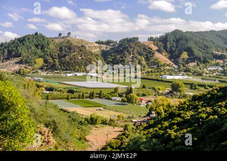 Les fermes fruitières de la vallée de Motueka, en bordure du parc national d'Abel Tasman, sur l'île du Sud, en Nouvelle-Zélande, ont 500 acres de pomme Banque D'Images