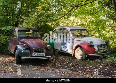 2 vieux Citroen 2CVs rouillent parmi les arbres. Banque D'Images