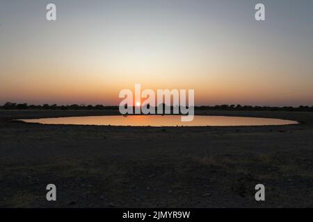 Trou d'eau à l'aube dans le parc national d'Etosha, Namibie Banque D'Images